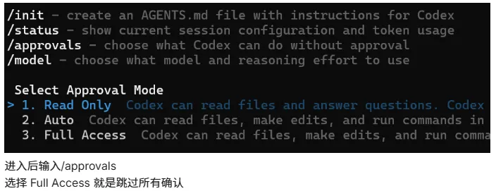 Codex 配置截图